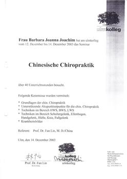 Chinesische Chiropraktik